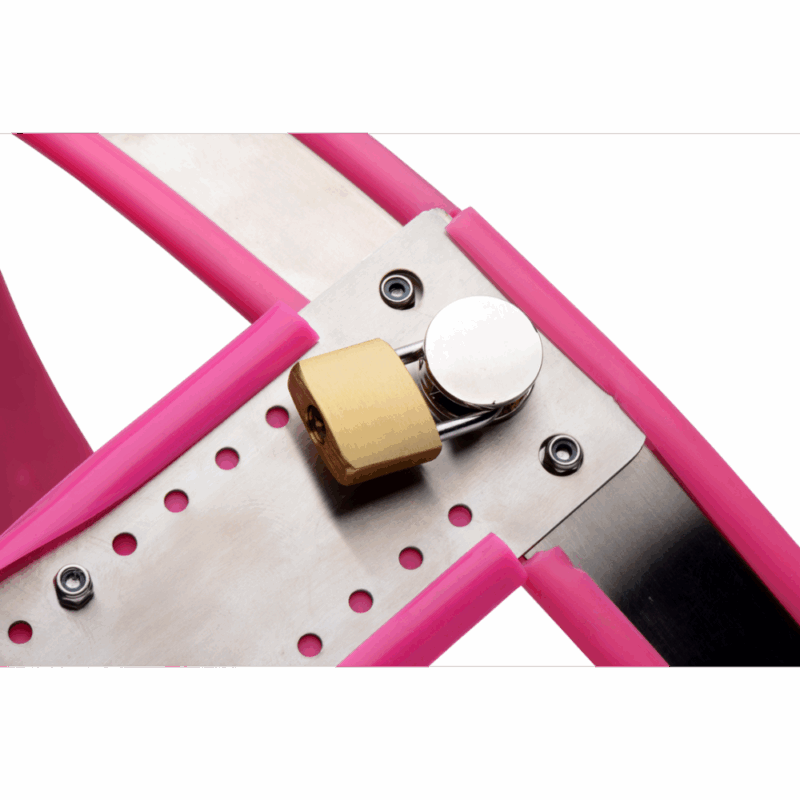 Roestvrijstalen Verstelbare Vrouwen Kinky Chastity Belt - Roze - Image 3