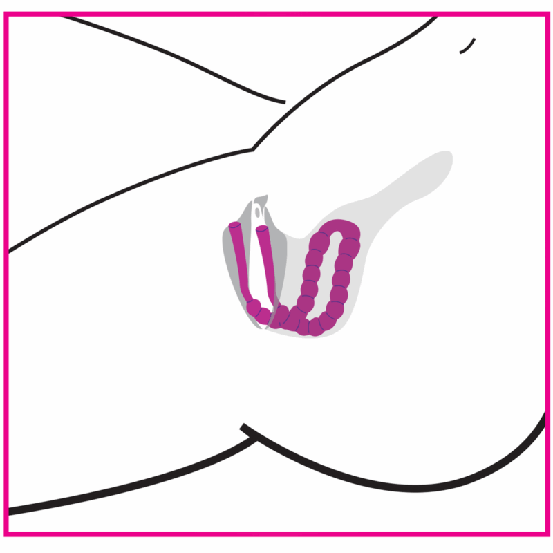 Petal Pusher - Siliconen Labia Spreader - Image 4