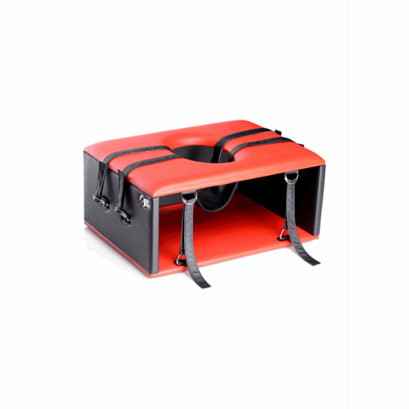 Queening Chair - Sex Chair - Image 2