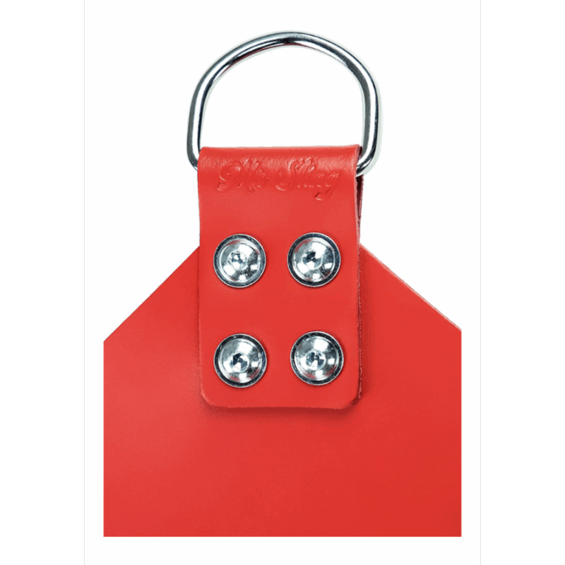 Aangepaste Leren Sling met 4 Punten - Image 2