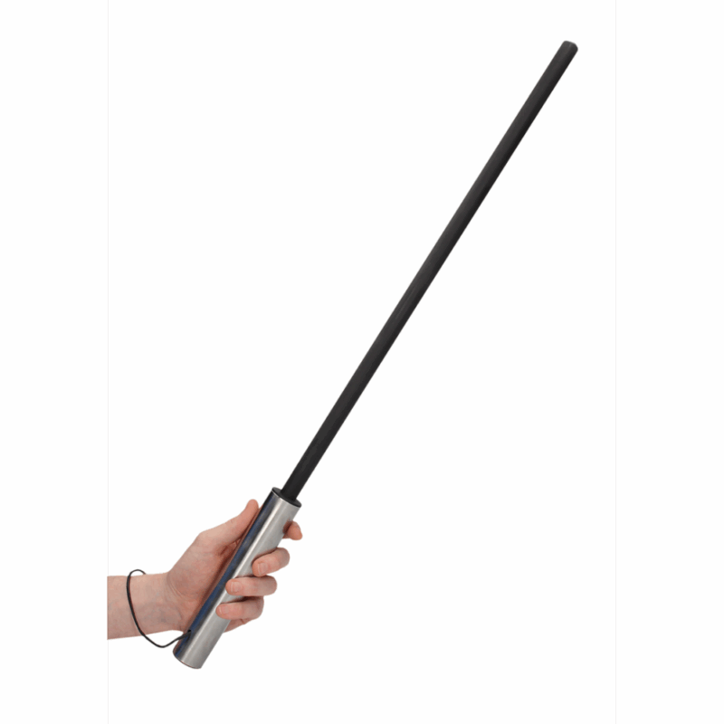 Cane met RVS Handvat