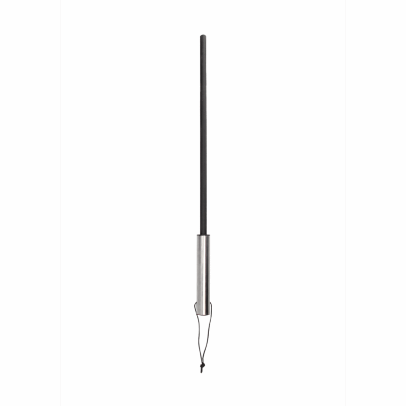 Cane met RVS Handvat - Image 2