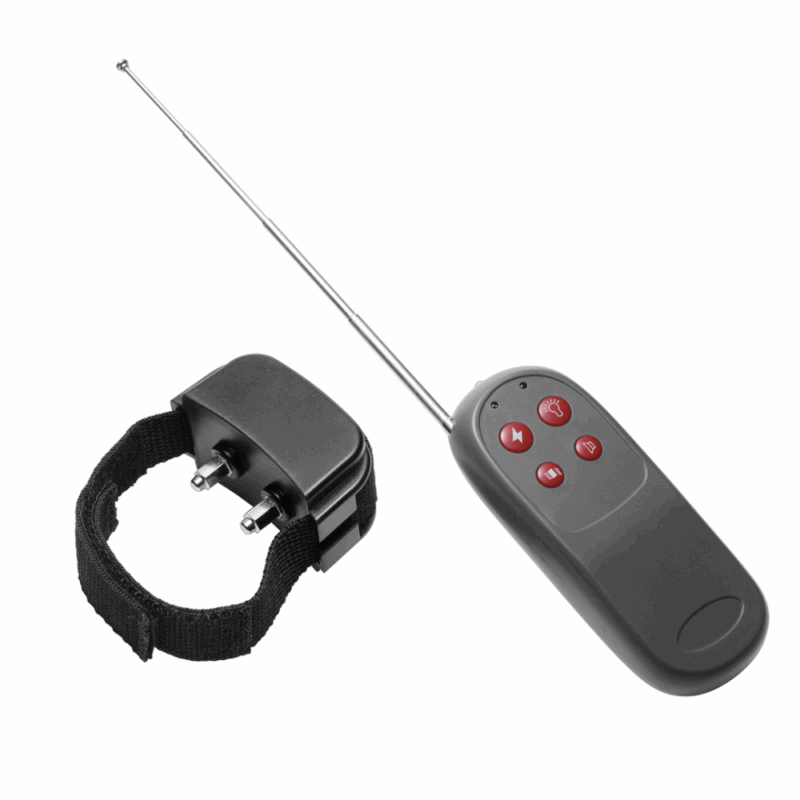 Cock Shock - Electro Stimulatie Cockring met Afstandsbediening