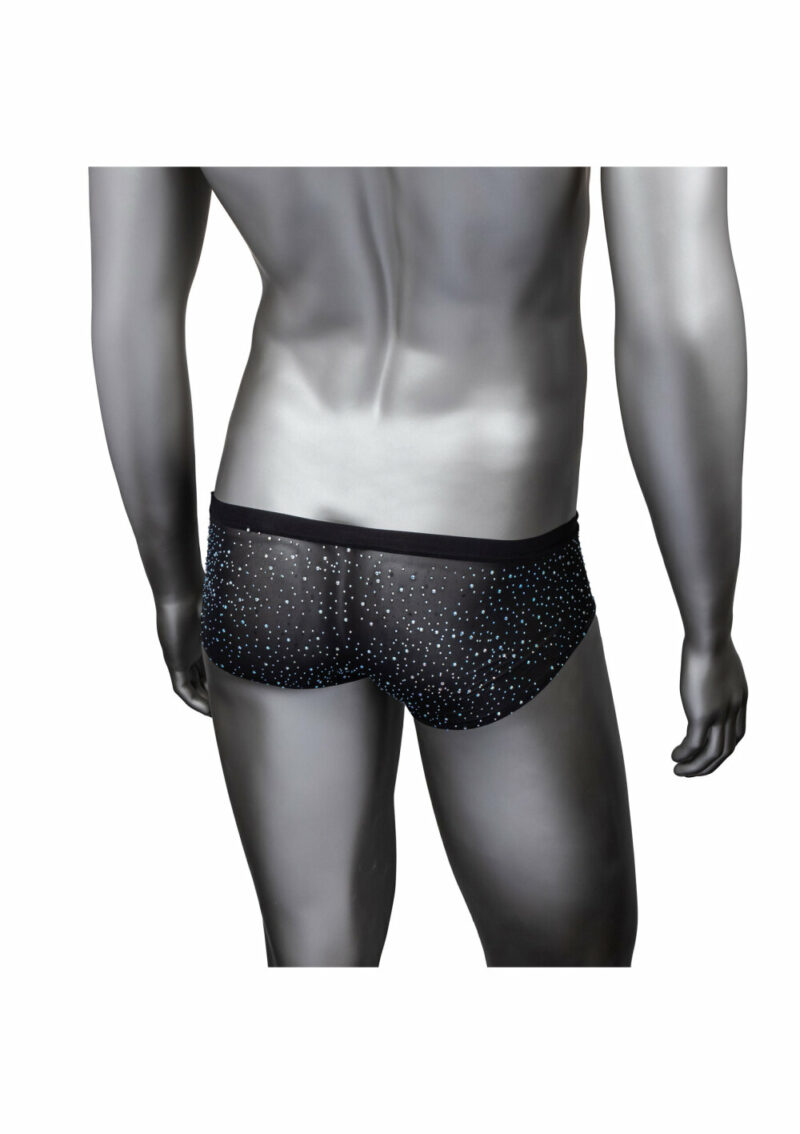 CalExotics Radiance Classic Briefs - Image 3