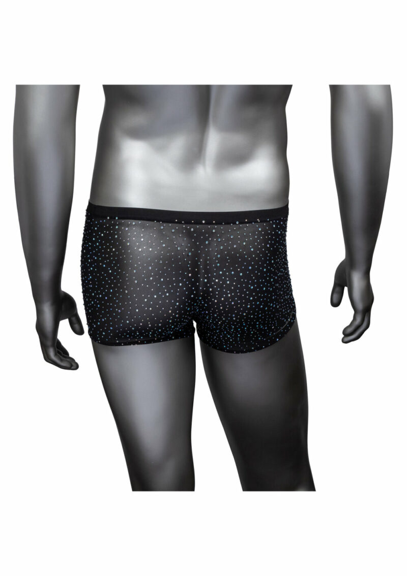 CalExotics Radiance Boxer Briefs - Image 3