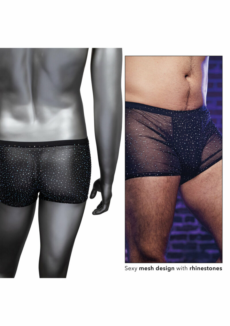 CalExotics Radiance Boxer Briefs - Image 4