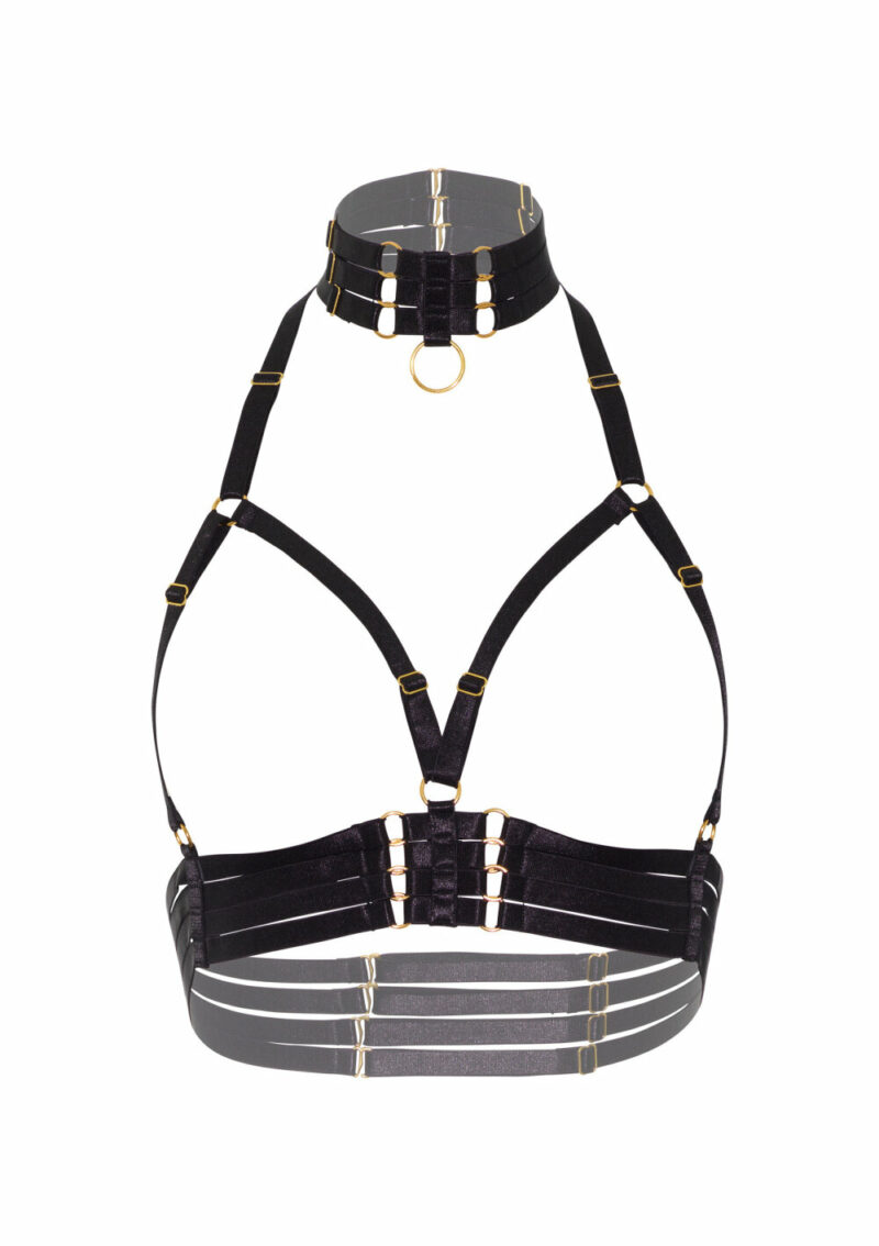 Kinky Diva Open Cup Bra + O-Ring Collar - Image 4