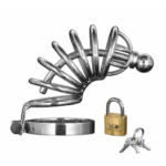 Asylum Chastity Cage