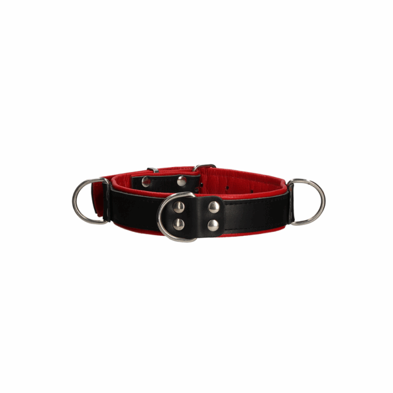 OU565RED 3