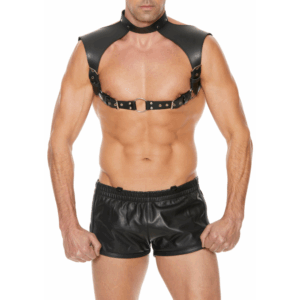 Men Harness with Neck Collar	
