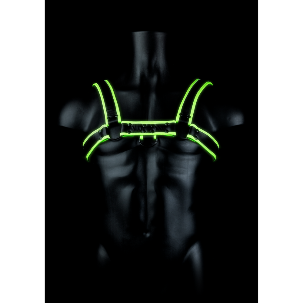 Glow Bulldog Harnas