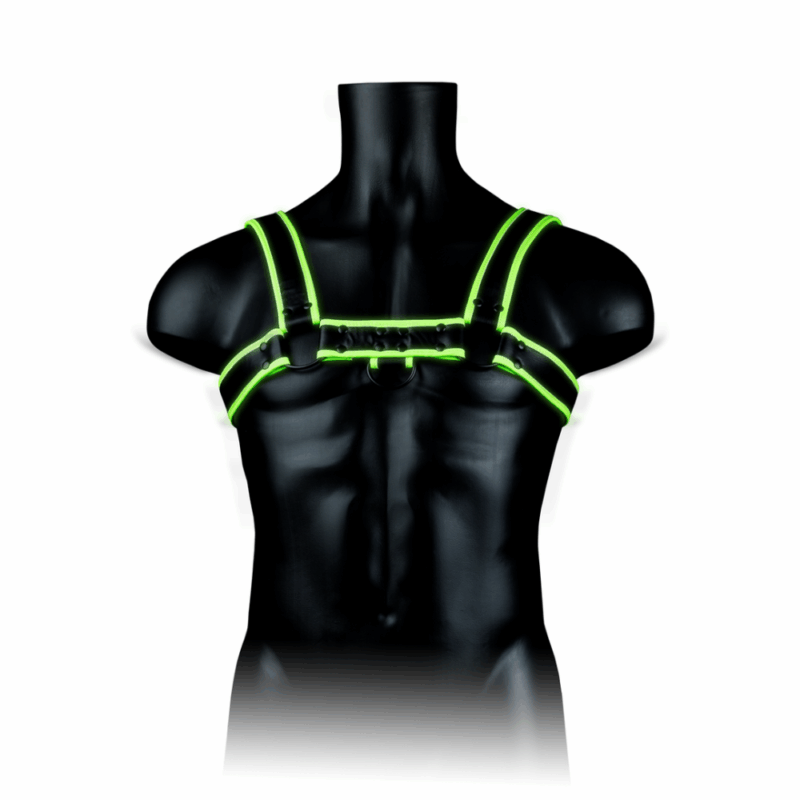 Glow Bulldog Harnas - Afbeelding 5