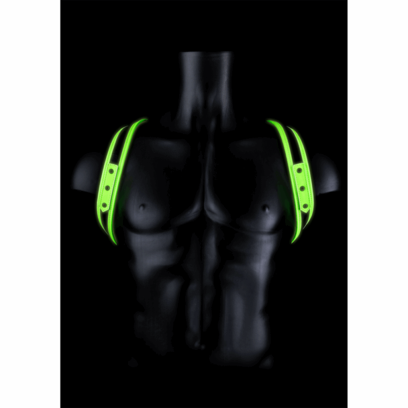 Glow Sling Harness