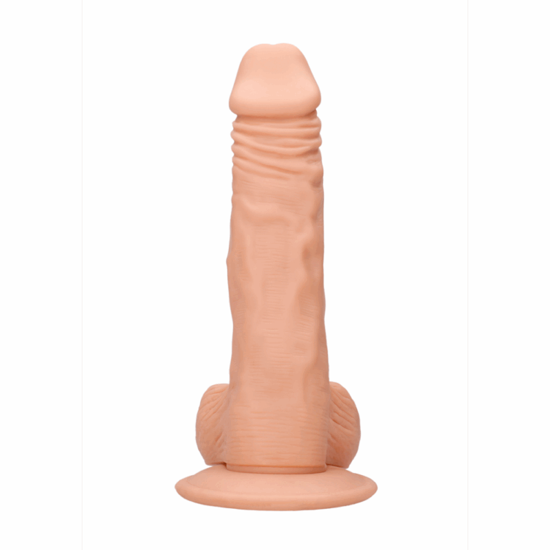 Realistische Dong met Teelballen 20cm - Afbeelding 4