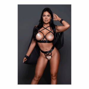 Sweet Little Lies Harness Set