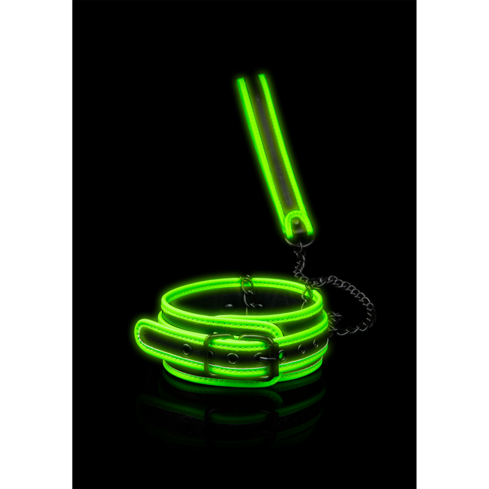 Glow in the Dark Halsband & Leash