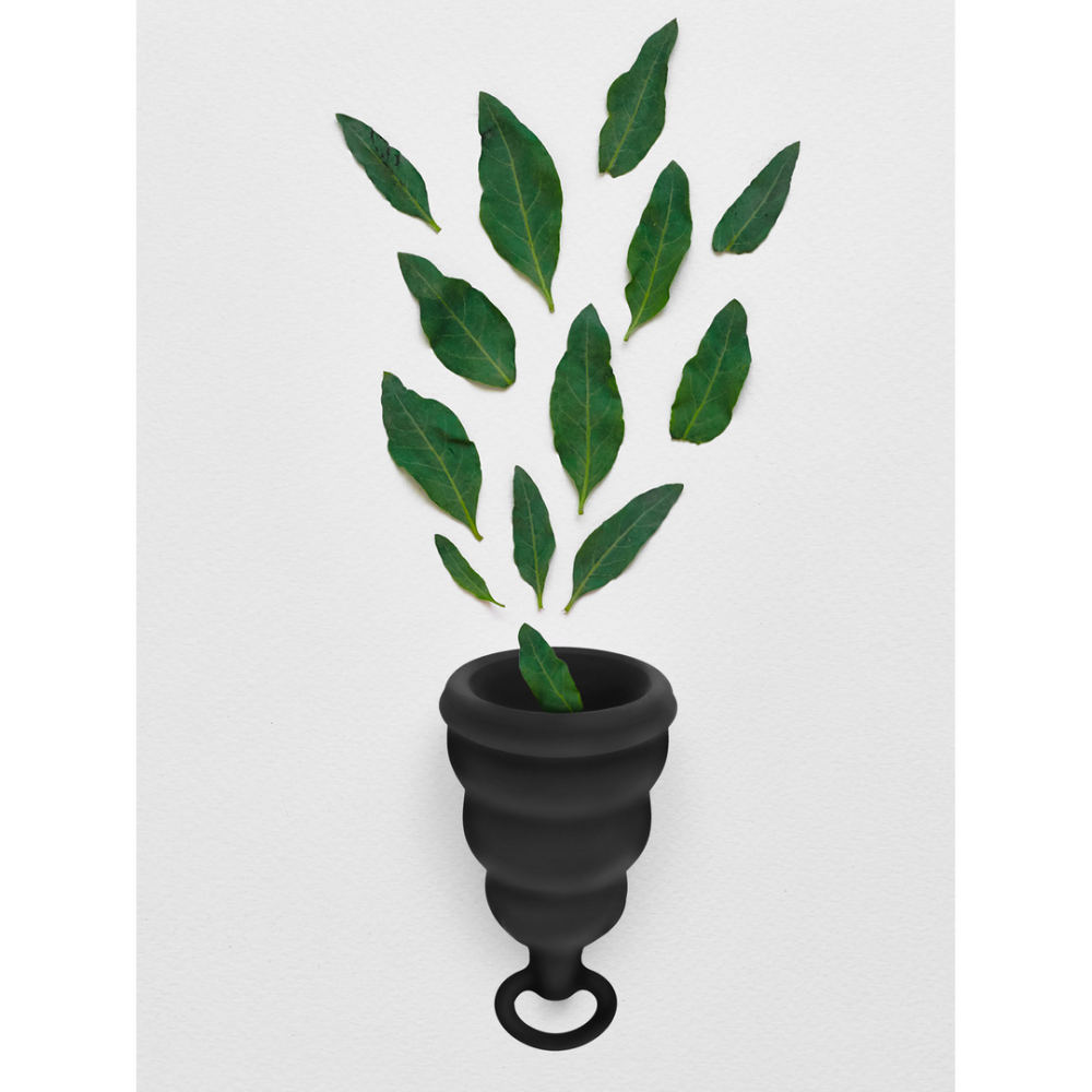 G-Cup Zwart - Afbeelding 3